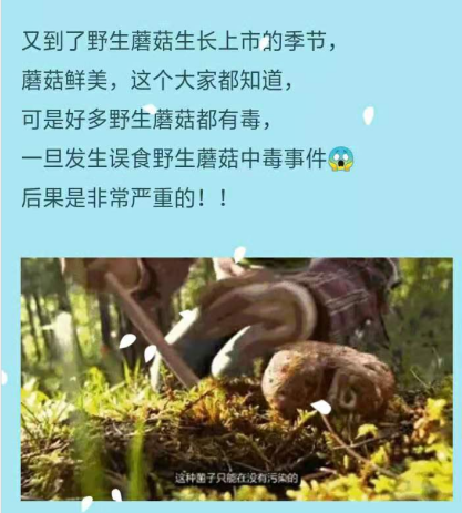 微信图片_20190822161854.png